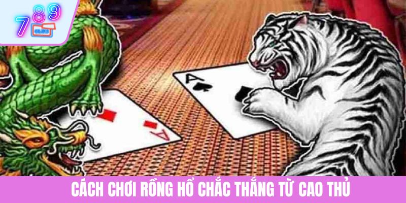 Hướng Dẫn Cách Chơi Rồng Hổ Chuẩn Từng Bước Năm 2025 4 Cách chơi Rồng Hổ chắc thắng từ cao thủ