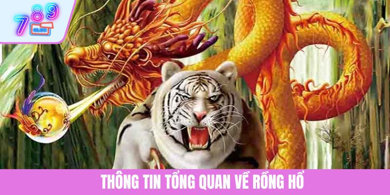 Hướng Dẫn Cách Chơi Rồng Hổ Chuẩn Từng Bước Năm 2025 2 Mẹo áp dụng cách chơi Roulette cụ thể cho tân binh