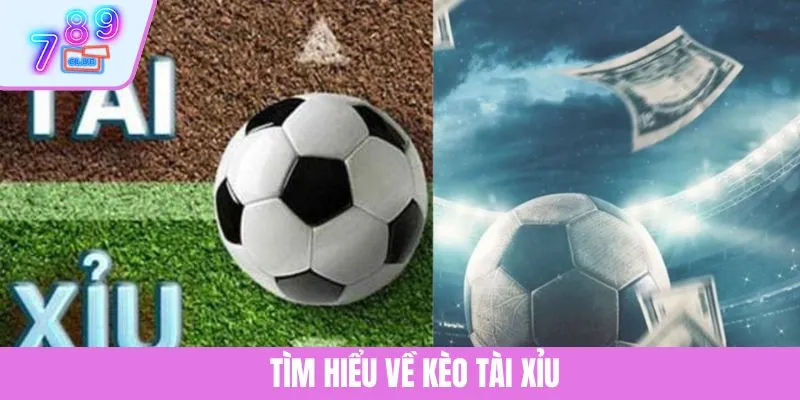Kèo Tài Xỉu Và Các Tỷ Lệ Cược Phổ Biến Mà Không Nên Bỏ Lỡ 2 Tìm hiểu về kèo tài xỉu