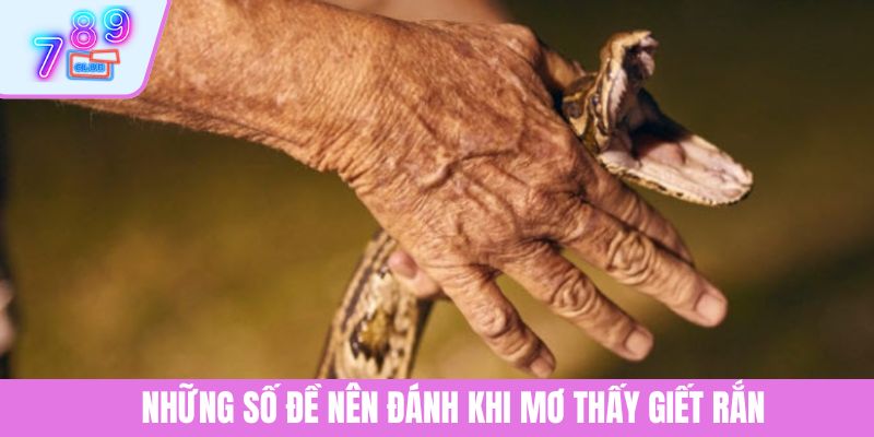 Nằm Mơ Thấy Giết Rắn – Giải Mã Điềm Báo Từ Tiềm Thức Sâu Xa 4 Những số đề nên đánh khi mơ thấy giết rắn
